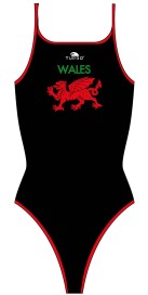 Wales Dragon