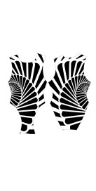 Harry H011 Lycra Noir (4...