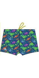 Dino Party (3 Semaines)