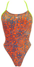 Leopard Summer (3 Semaines)