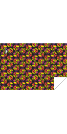 Water-Polo Balls (3 Semaines)