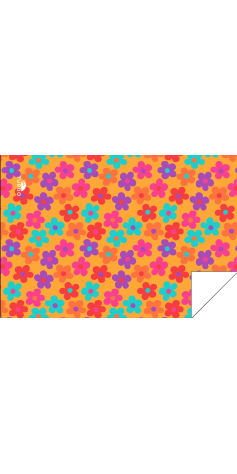 Margarets (3 Semaines)