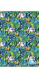 Jungle Bird (3 Semaines)