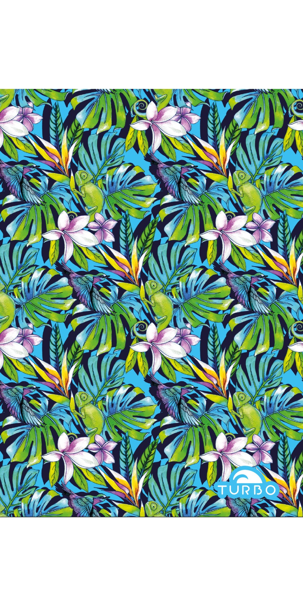 Jungle Bird (3 Semaines)