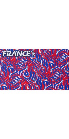 FFN France Natation Artistique Officiel (3 Semaines)