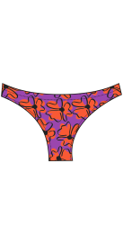 Bas de Bikini Funky...