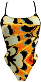 Butterfly Land (3 Semaines)