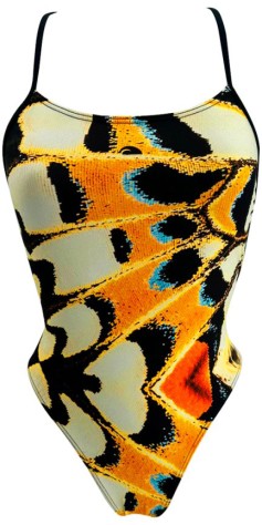 Butterfly Land (3 Semaines)