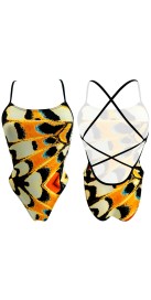 Butterfly Land (3 Semaines)