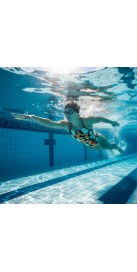 Butterfly Land (3 Semaines)