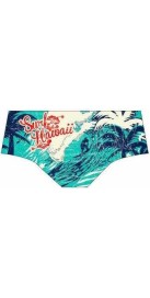 Surf Hawaï Vintage (3 Semaines)