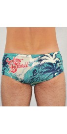 Surf Hawaï Vintage (3 Semaines)