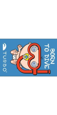 Born To Dive (3 Semaines)