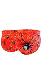 Aracnid 