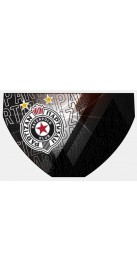 Partizan 2018