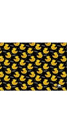 Quak Quak (3 Semaines)