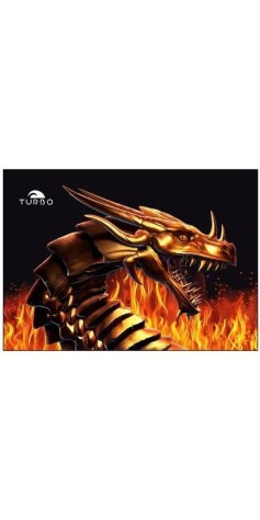 Dragon Fire (3 Semaines)