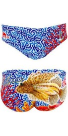 Fish Positano (3 Semaines)