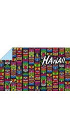 Hawaï Art (3 Semaines)