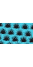 Erizo Greece (3 Semaines)