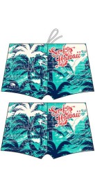 Surf Hawaï Vintage (3 Semaines)
